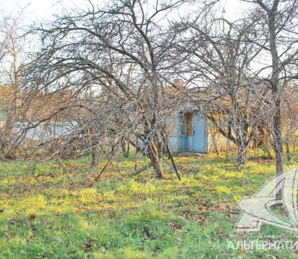 Продажа участка садового в Брестском районе, Радва 213175